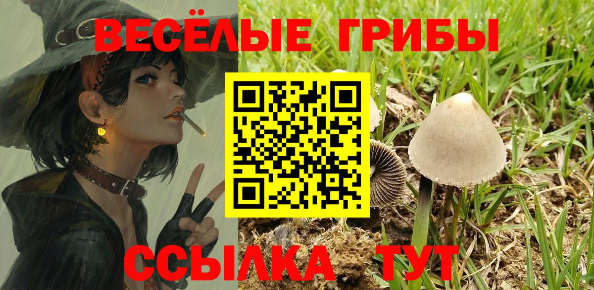 Бузулук  Галлюциногенные грибы Psilocybine cubensis  магазин  наркотиков  Вход с VPN 
